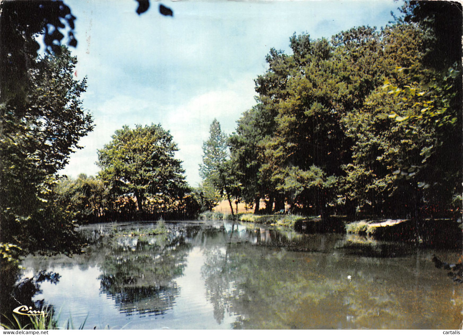 37-MONTRESOR LE CHATEAU DU COURBAT-N°4184-A/0341 - Montrésor