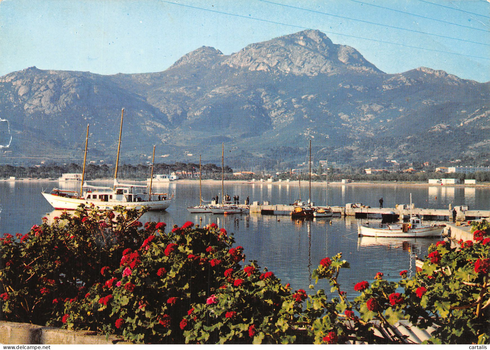 2B-CALVI-N°4184-A/0231 - Calvi