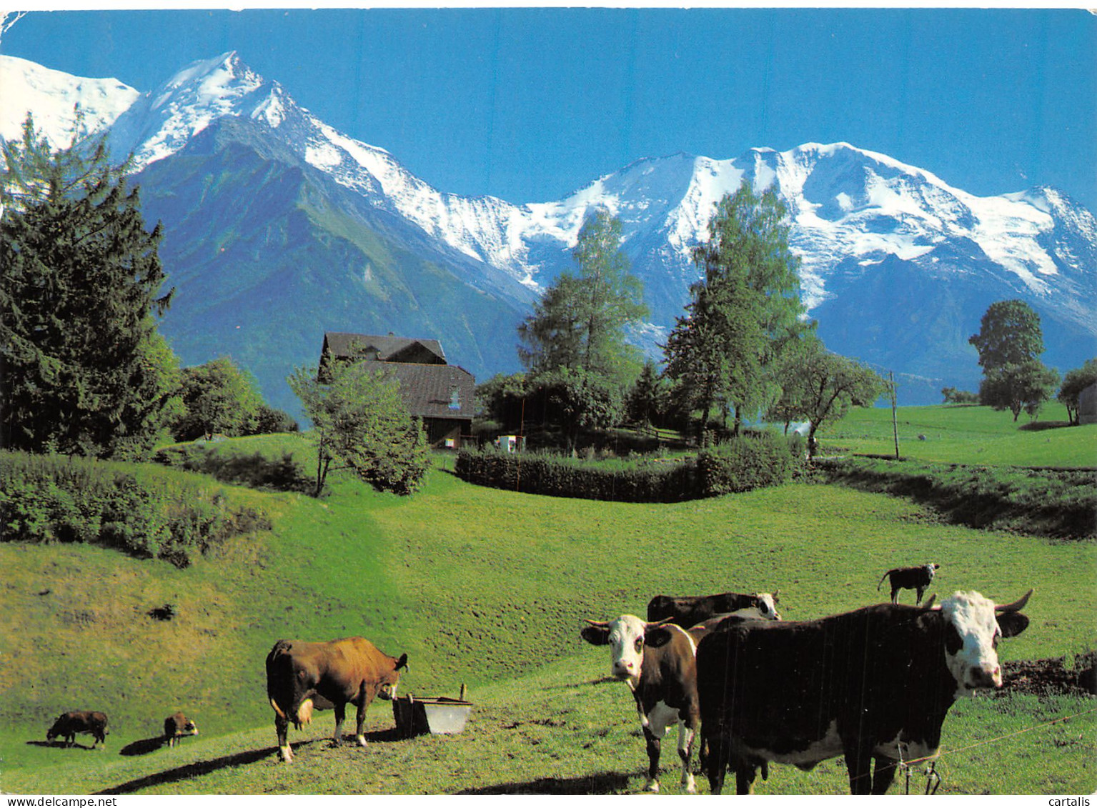 74-LE MONT BLANC-N°4184-A/0225 - Other & Unclassified
