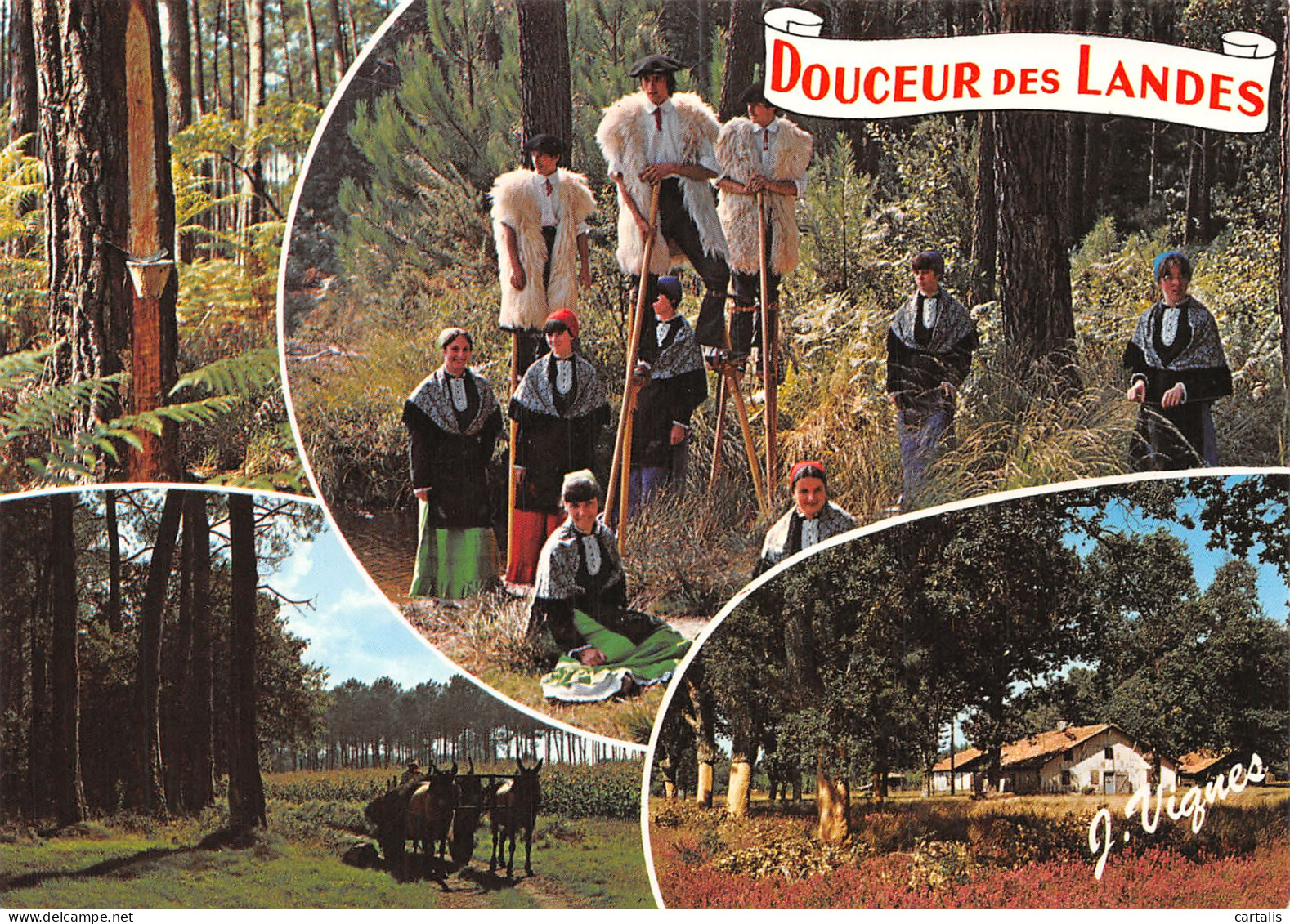 40-LES LANDES-N°4184-A/0103 - Other & Unclassified