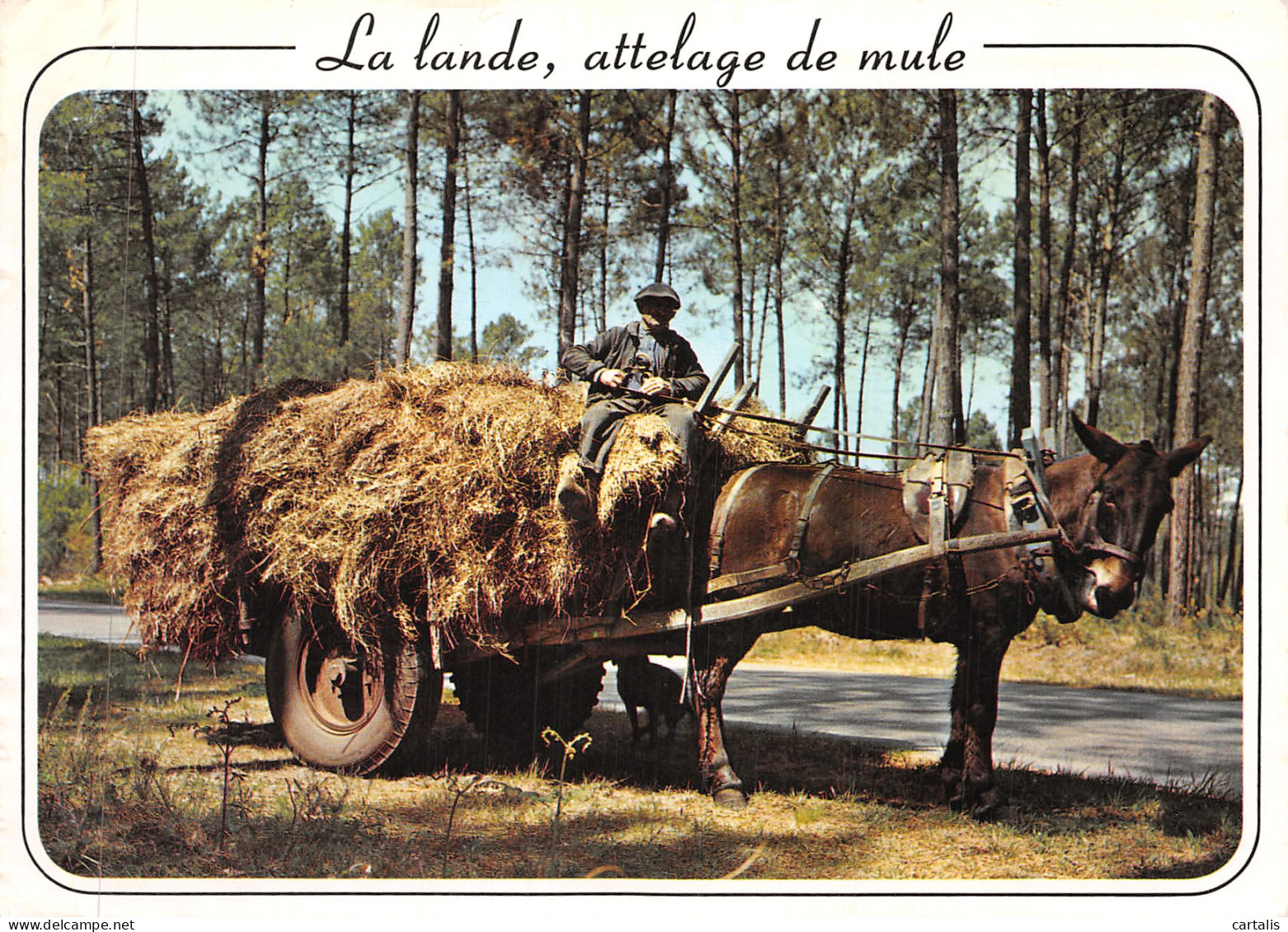 40-LA LANDE-N°4184-A/0025 - Andere & Zonder Classificatie