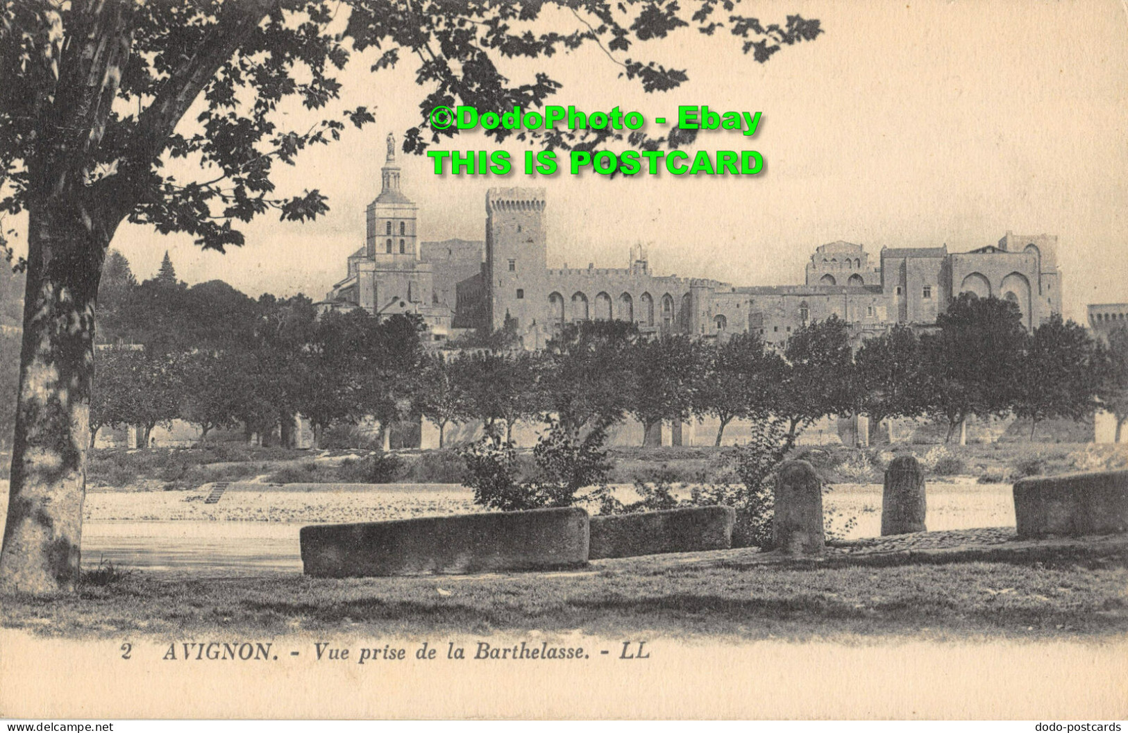 R355432 Avignon. Vue Prise De La Barthelasse. LL. 2. Levy Et Neurdein Reunis. 19 - World