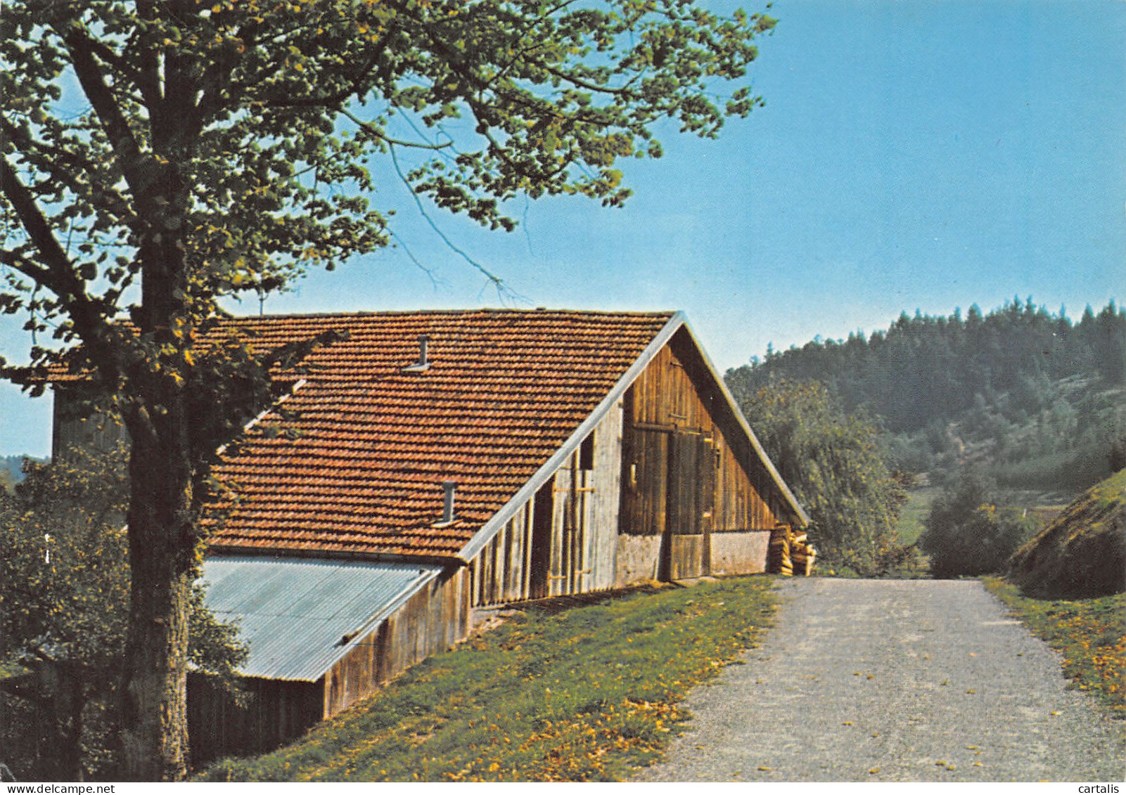 88-LES VOSGES-N°4185-A/0169 - Other & Unclassified