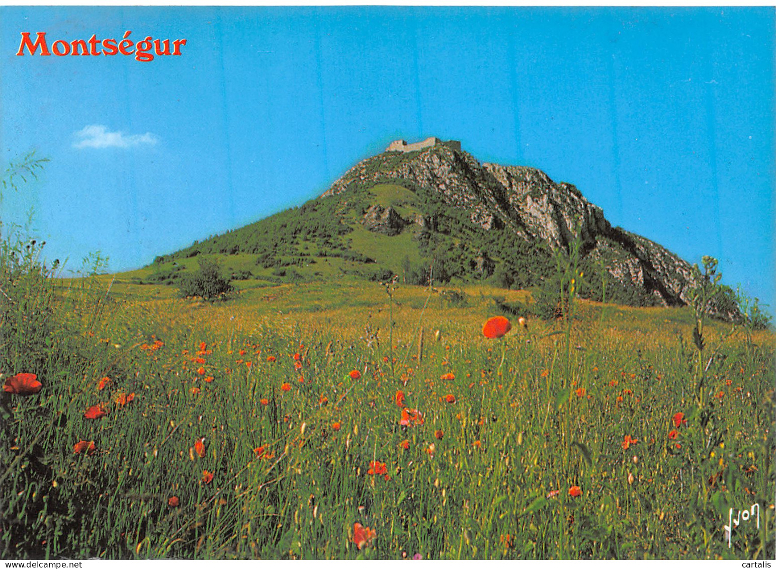 09-MONTSEGUR-N°4185-A/0011 - Sonstige & Ohne Zuordnung