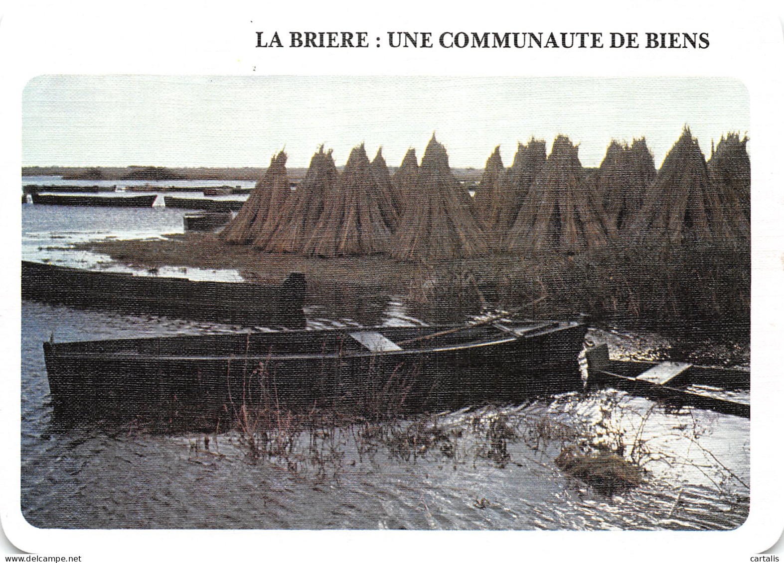 44-LA BRIERE-N°4184-D/0303 - Other & Unclassified