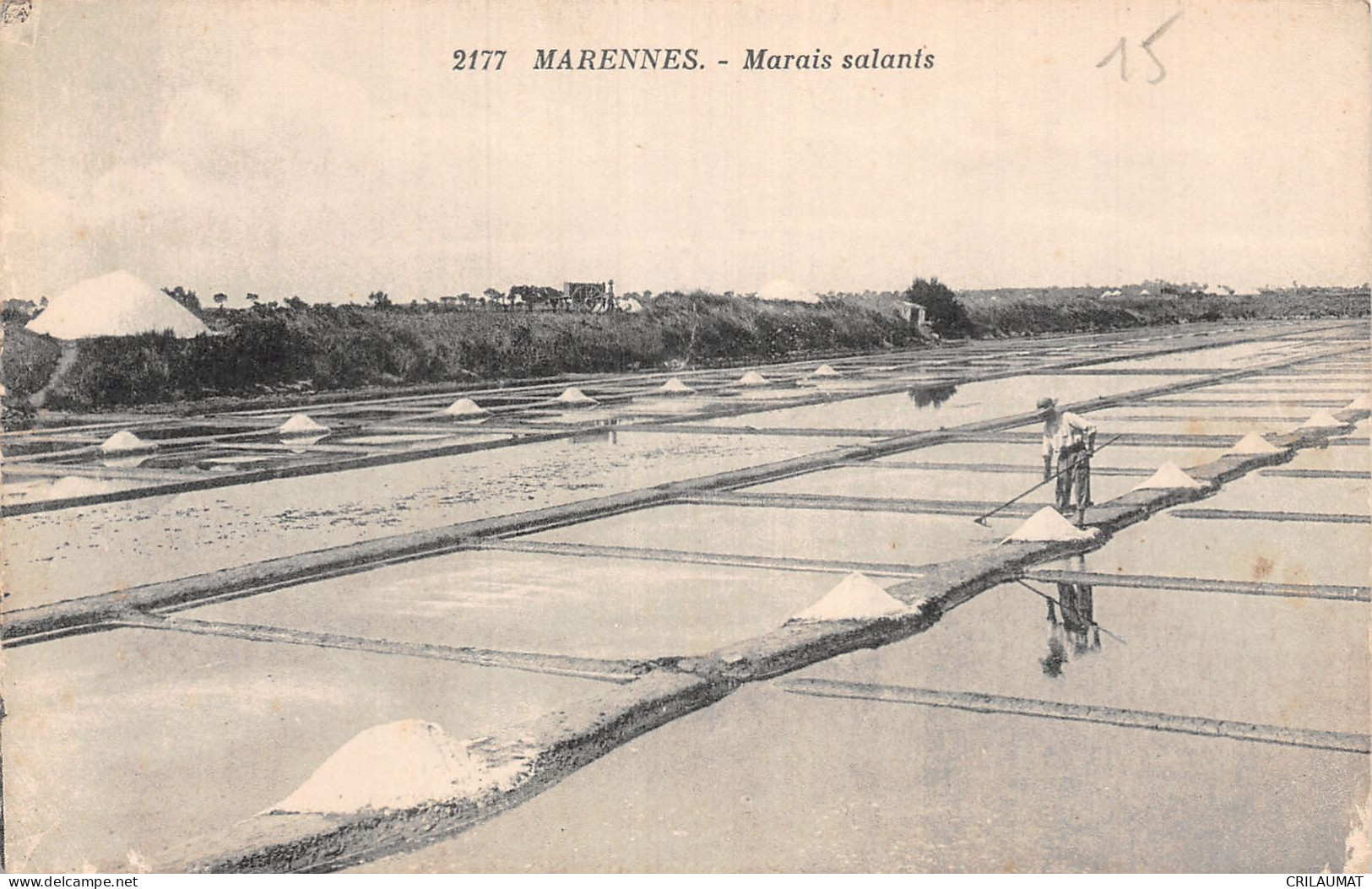 17-MARENNES-N°LP5132-D/0211 - Marennes