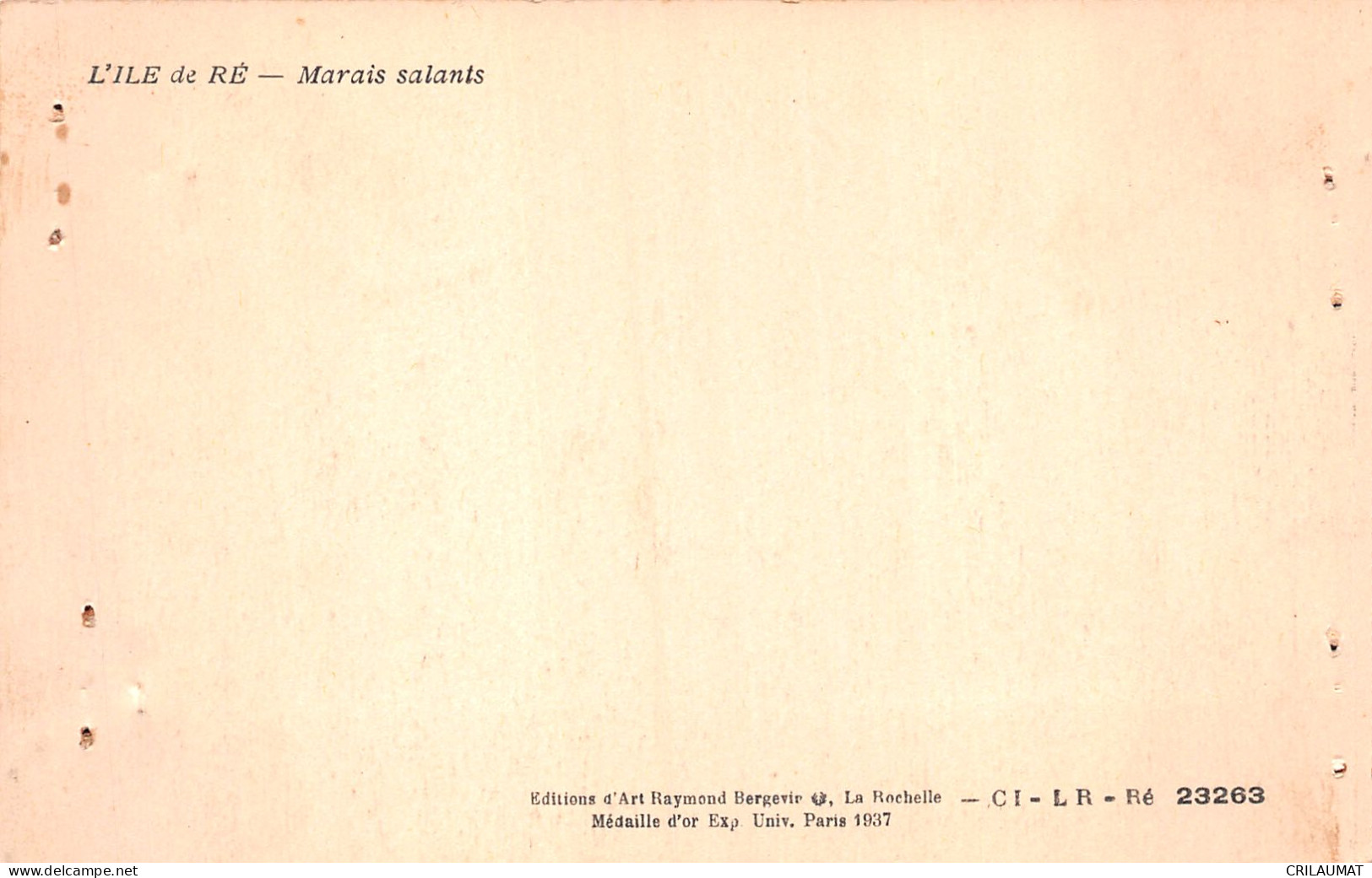 17-L ILE DE RE MARAIS SALANTS-N°LP5132-D/0215 - Autres & Non Classés