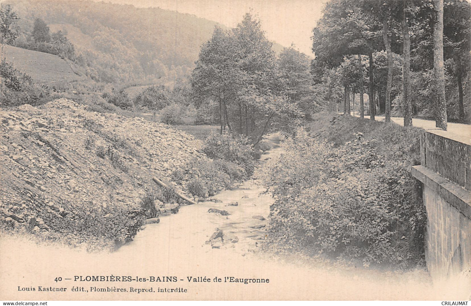 88-PLOMBIERES LES BAINS-N°LP5132-C/0299 - Plombieres Les Bains