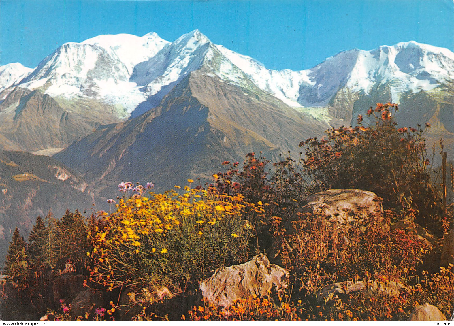 74-LE MONT BLANC-N°4185-B/0073 - Andere & Zonder Classificatie