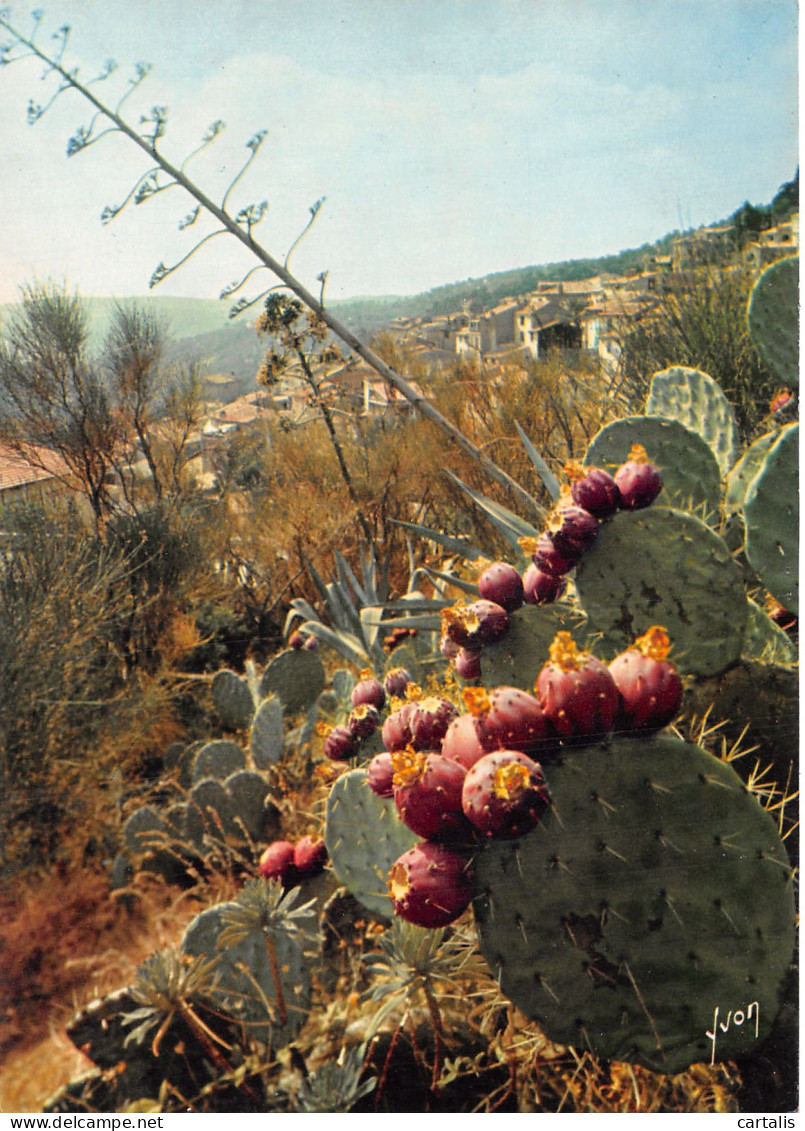 83-BORMES LES MIMOSAS-N°4185-A/0385 - Bormes-les-Mimosas