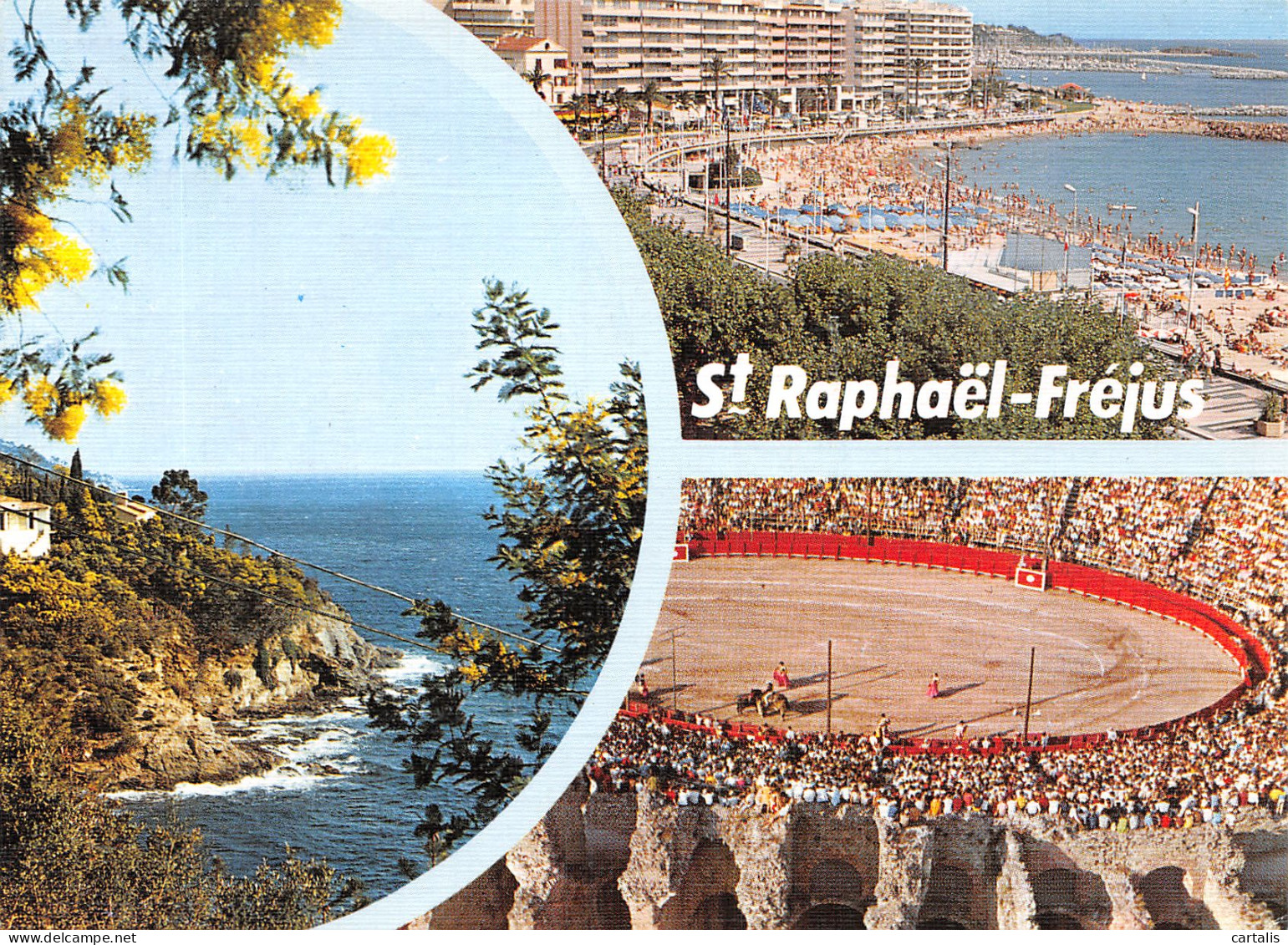 83-SAINT RAPHAEL FREJUS-N°4186-B/0337 - Saint-Raphaël