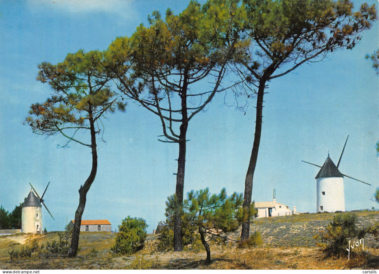 85-NOIRMOUTIER-N°4186-B/0313 - Noirmoutier