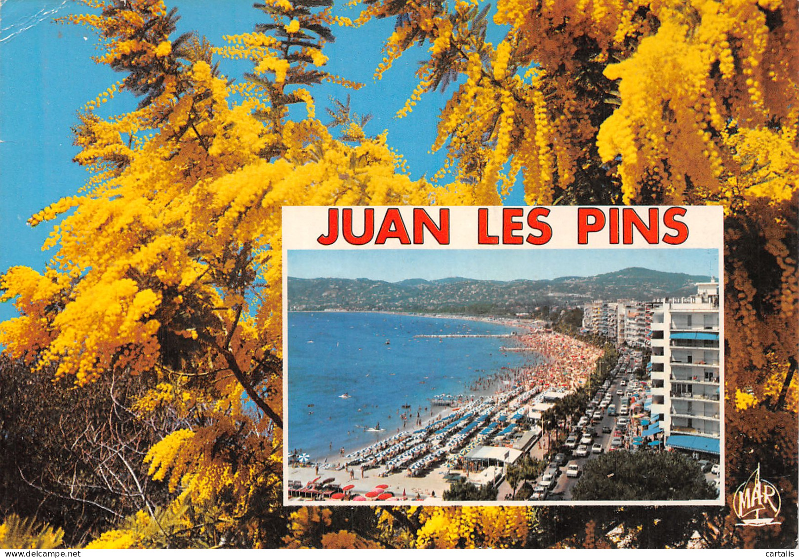 06-JUAN LES PINS-N°4186-B/0185 - Juan-les-Pins