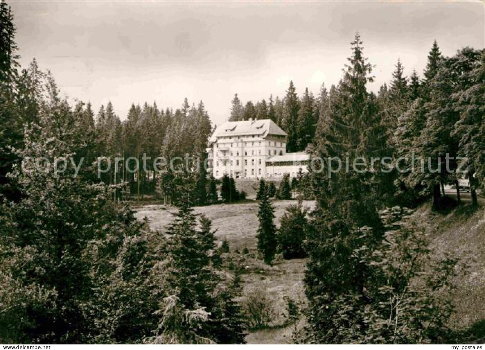 72793413 Notschrei Waldhotel Notschrei - Todtnau