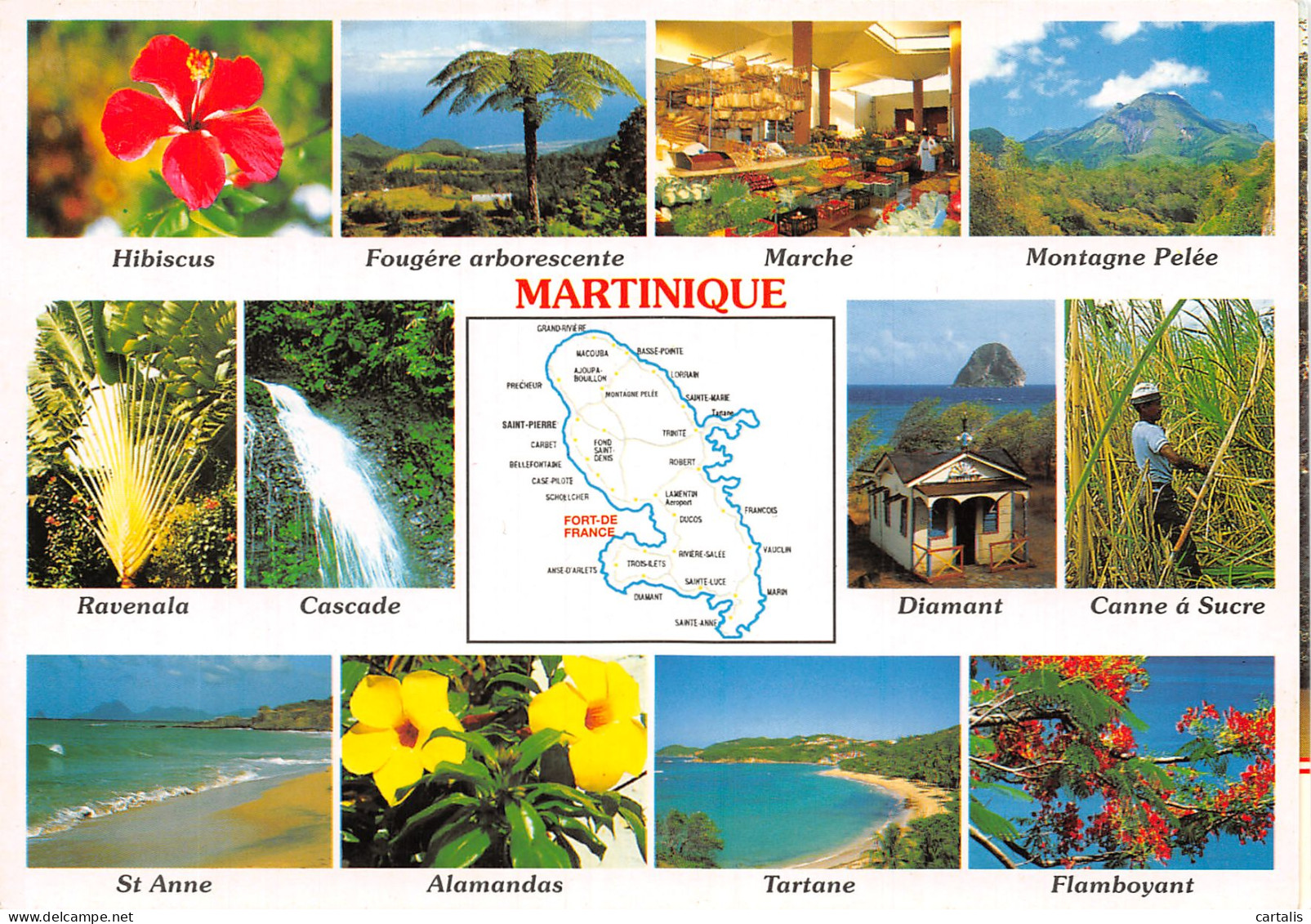 972-MARTINIQUE-N°4186-A/0095 - Other & Unclassified