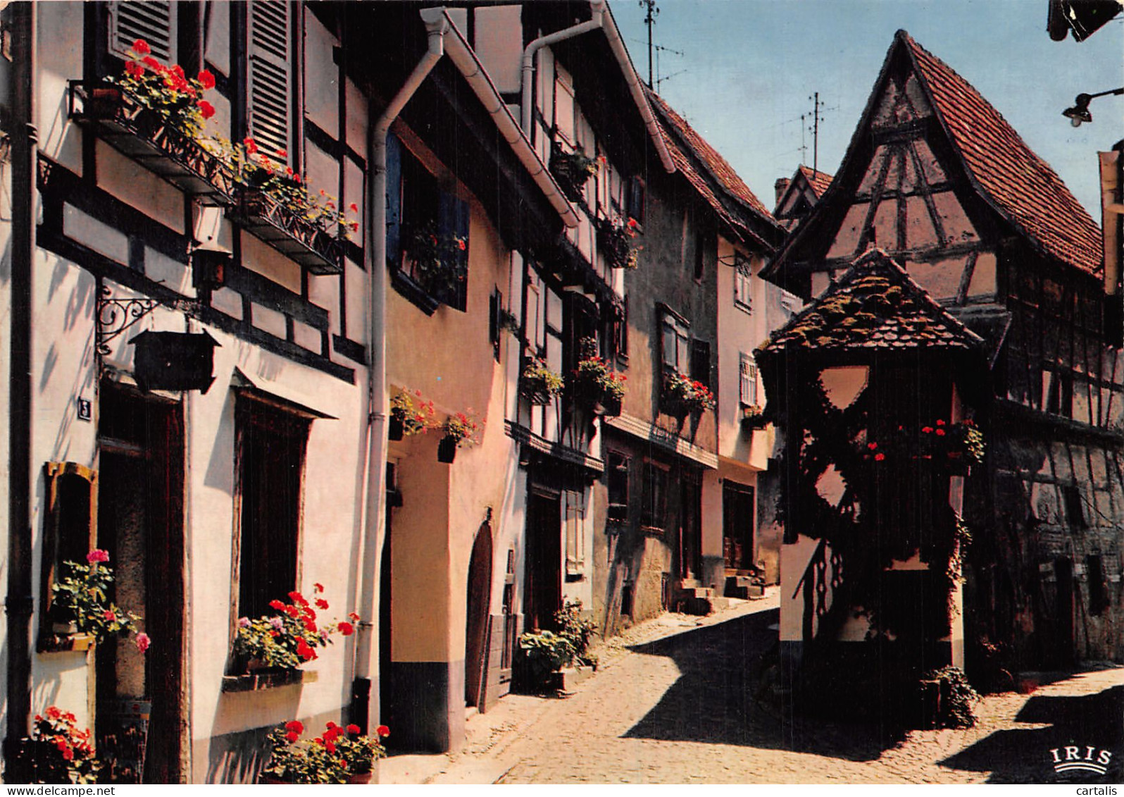 68-EGUISHEIM-N°4187-A/0151 - Andere & Zonder Classificatie