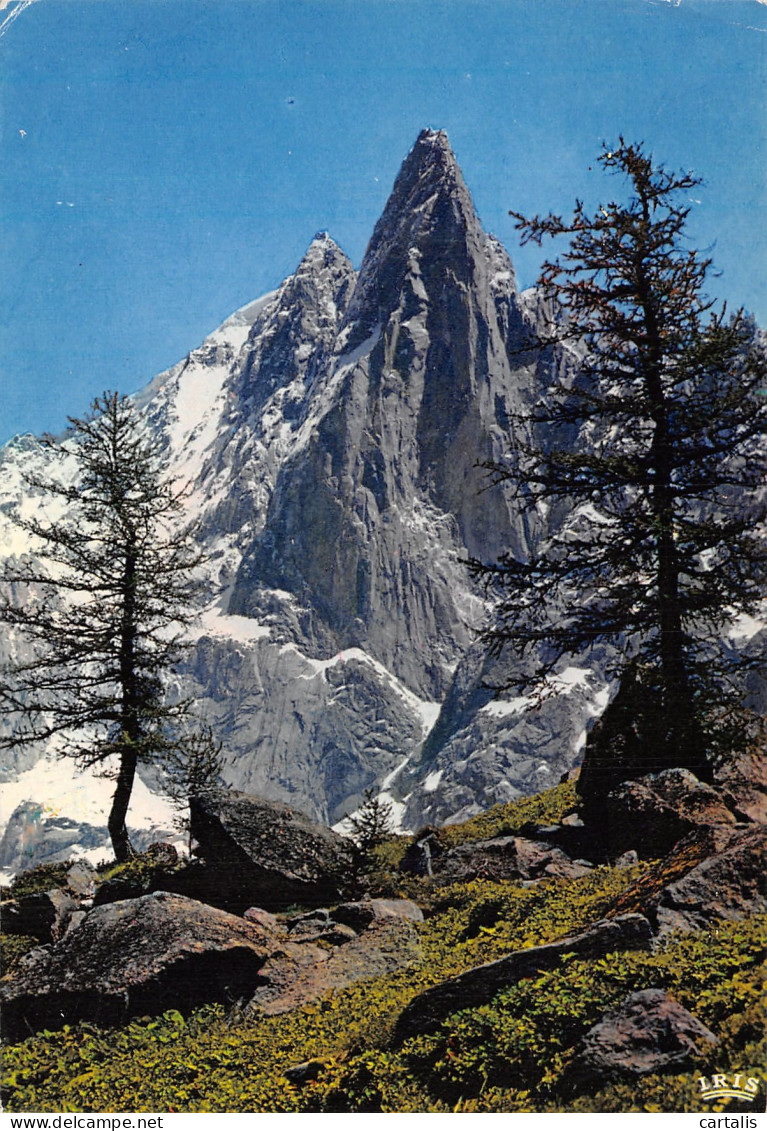 74-CHAMONIX MONT BLANC-N°4187-A/0147 - Chamonix-Mont-Blanc