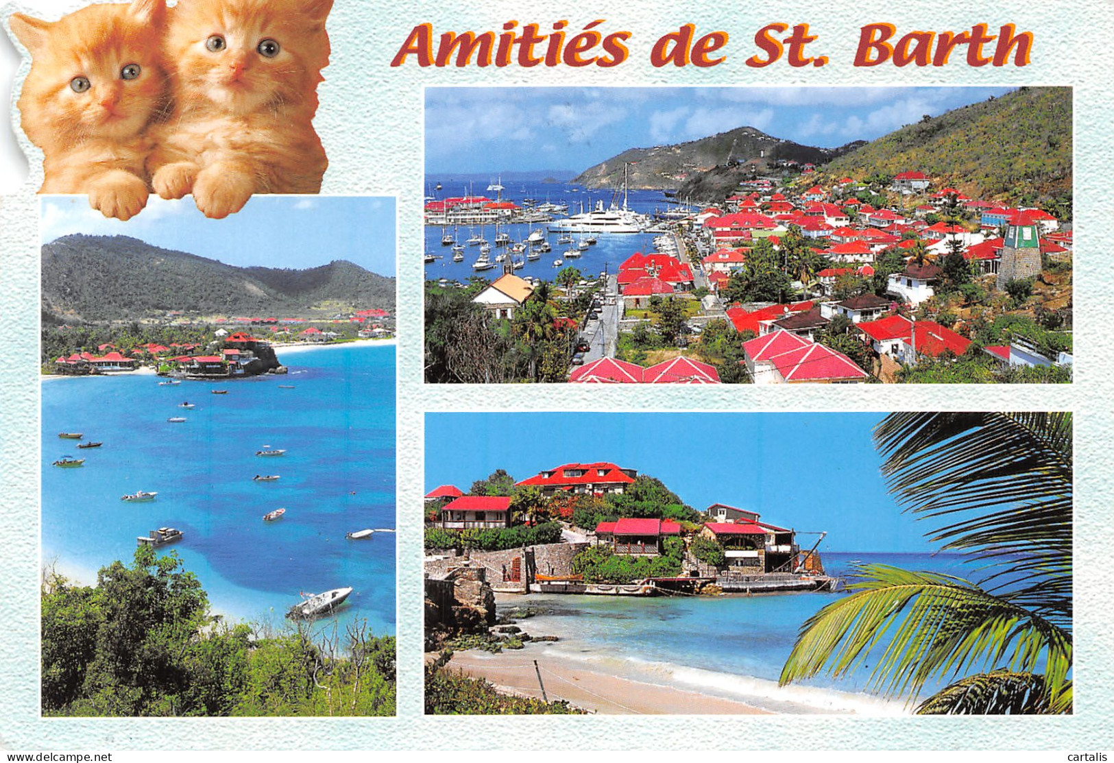971-SAINT BARTH-N°4187-A/0071 - Other & Unclassified