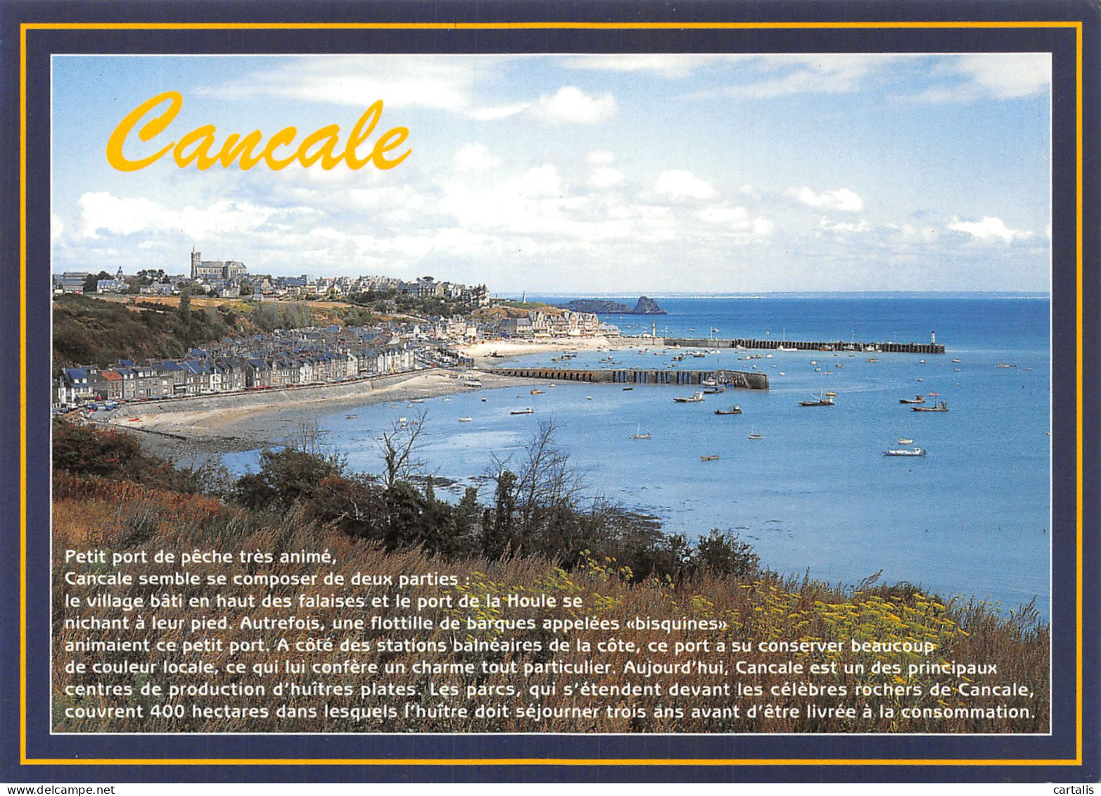 35-CANCALE-N°4186-D/0371 - Cancale