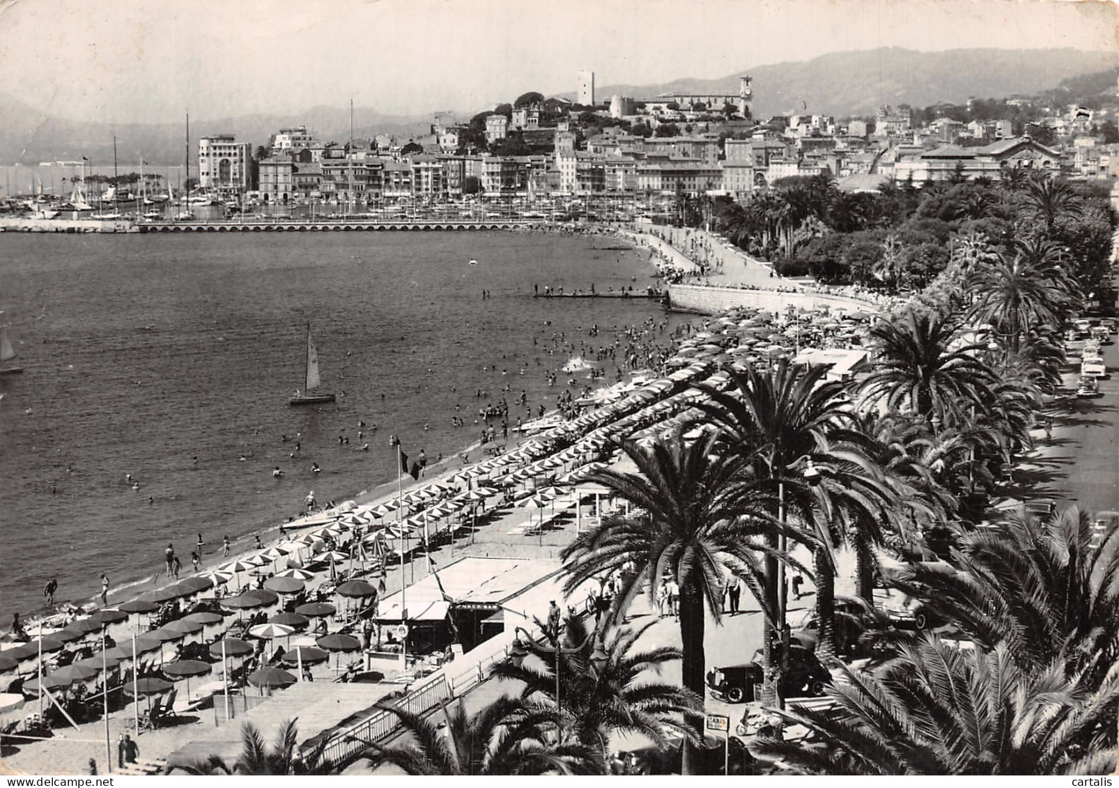 06-CANNES-N°4186-D/0183 - Cannes