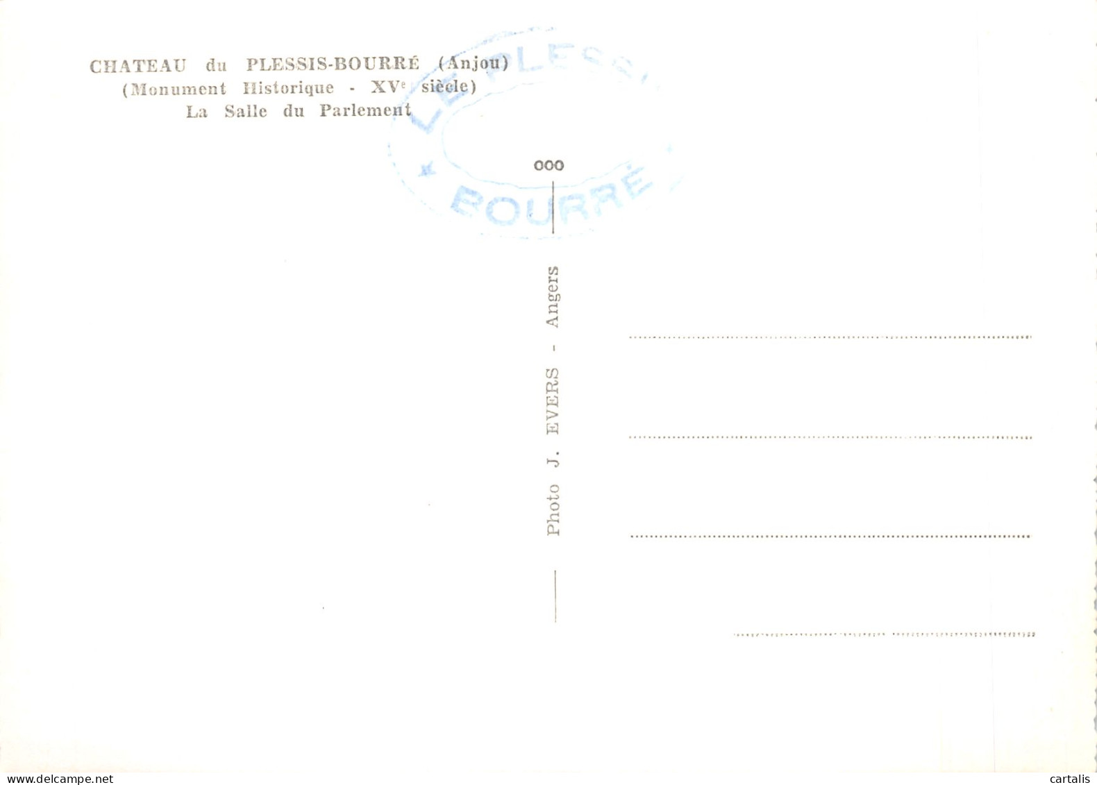 49-LE PLESSIS BOURRE LE CHATEAU-N°4186-D/0081 - Sonstige & Ohne Zuordnung