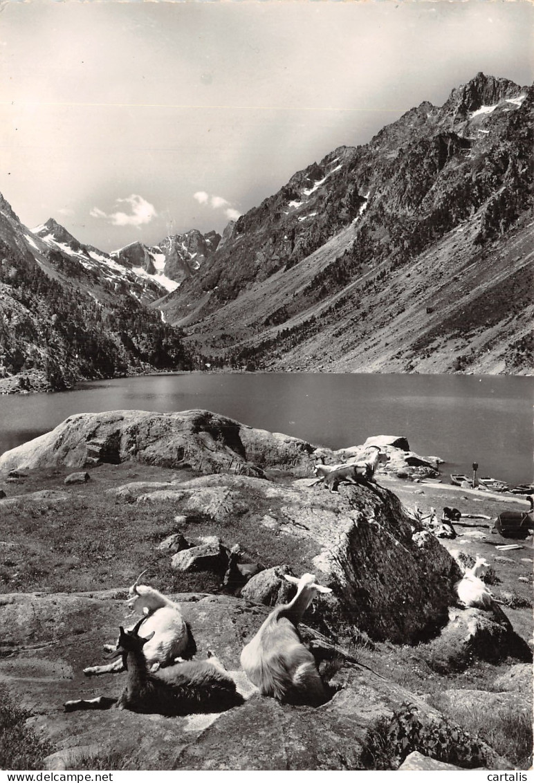 65-LE LAC DE GAUBE-N°4186-D/0011 - Sonstige & Ohne Zuordnung