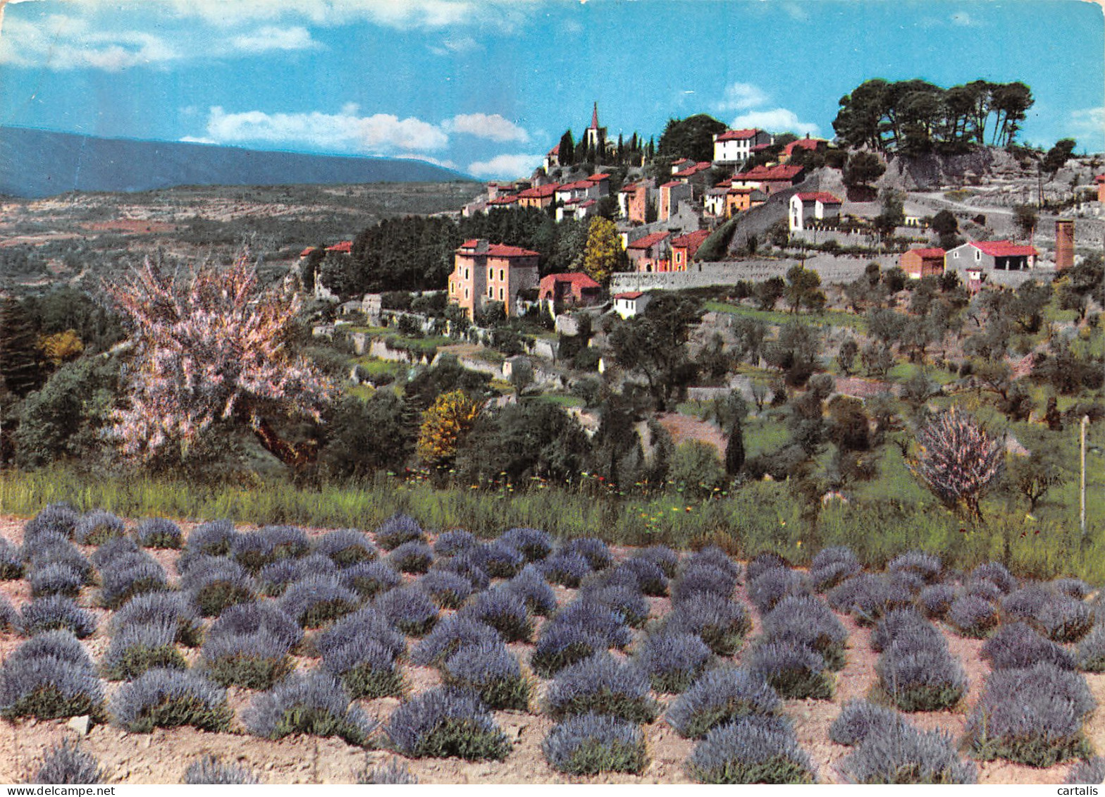 13-PROVENCE-N°4186-C/0383 - Andere & Zonder Classificatie