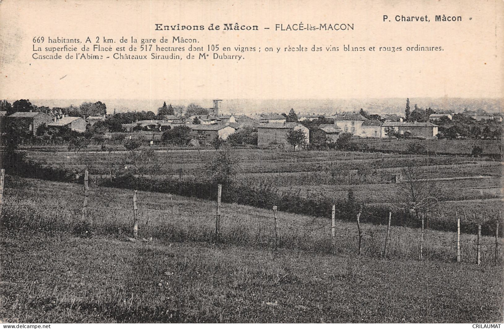 71-FLACE LES MACON-N°LP5133-B/0387 - Sonstige & Ohne Zuordnung