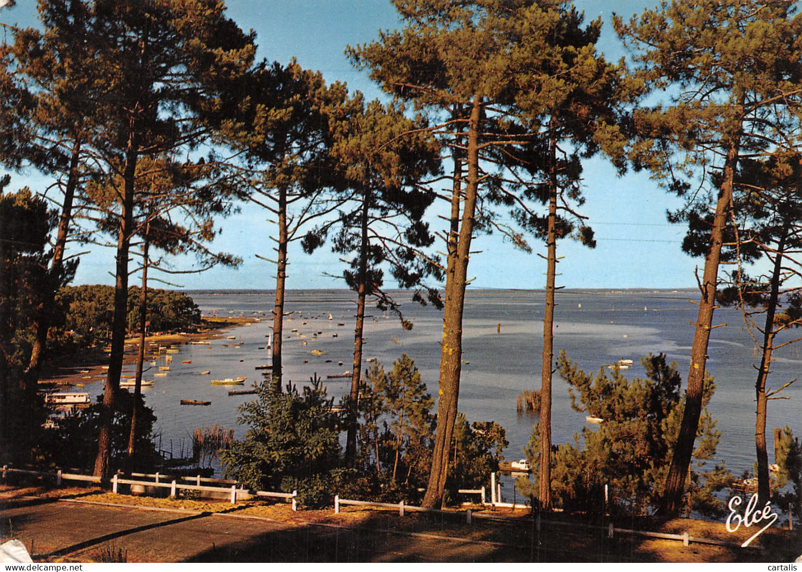 33-BASSIN D ARCACHON-N°4187-B/0103 - Other & Unclassified