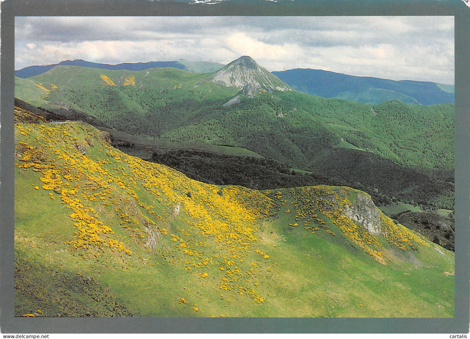 15-MONTS DU CANTAL-N°4187-A/0297 - Sonstige & Ohne Zuordnung