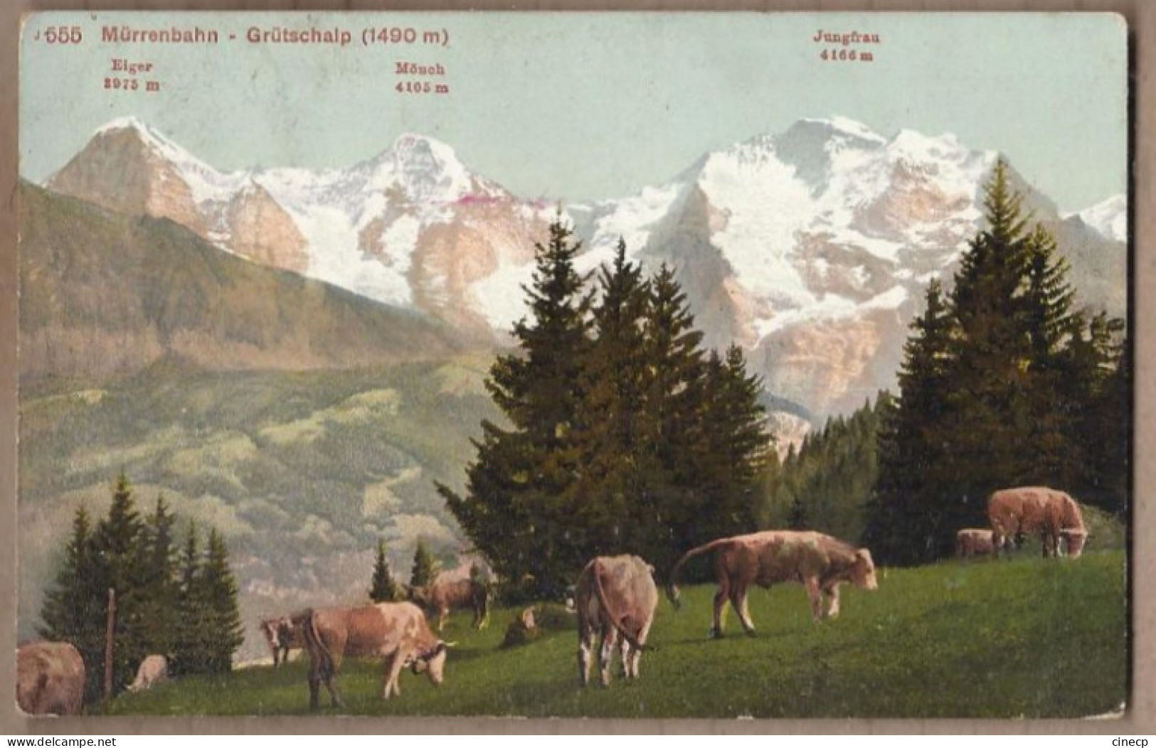 CPA SUISSE - MÜRRENBAHN - GRÜTSCHALP - MÜRREN - TB PLAN  Paysage De Montagne + Troupeau Vaches Oblitération - Mürren