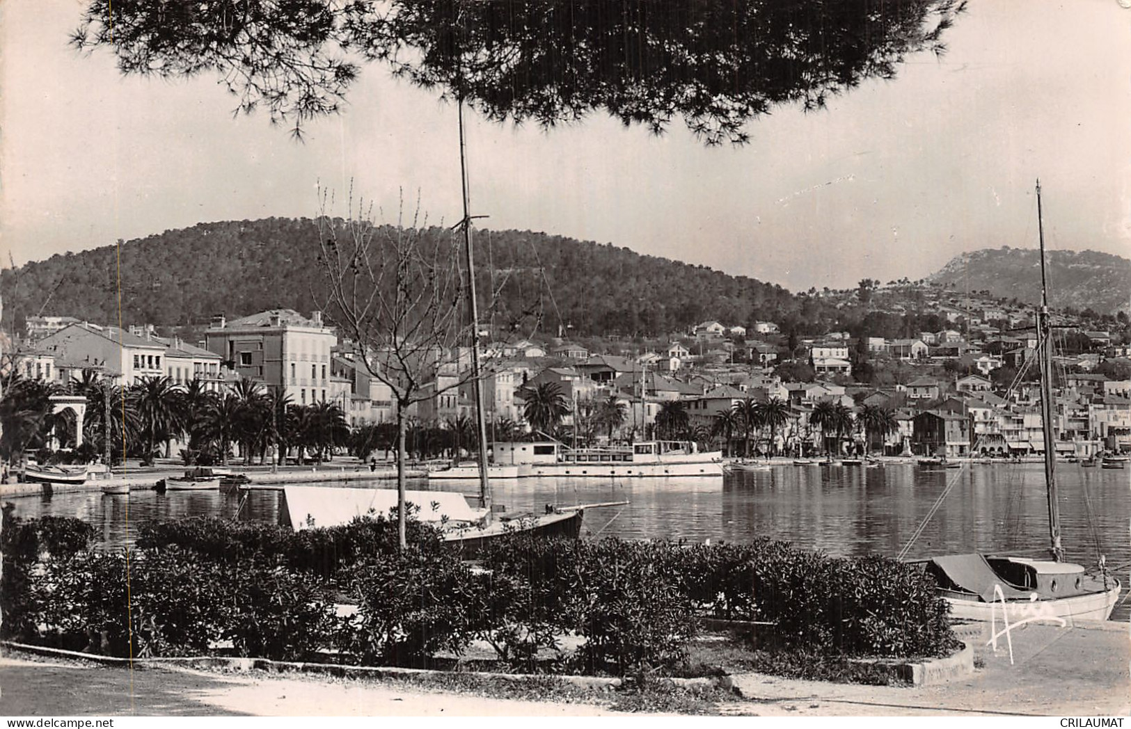 83-BANDOL-N°LP5133-G/0373 - Bandol