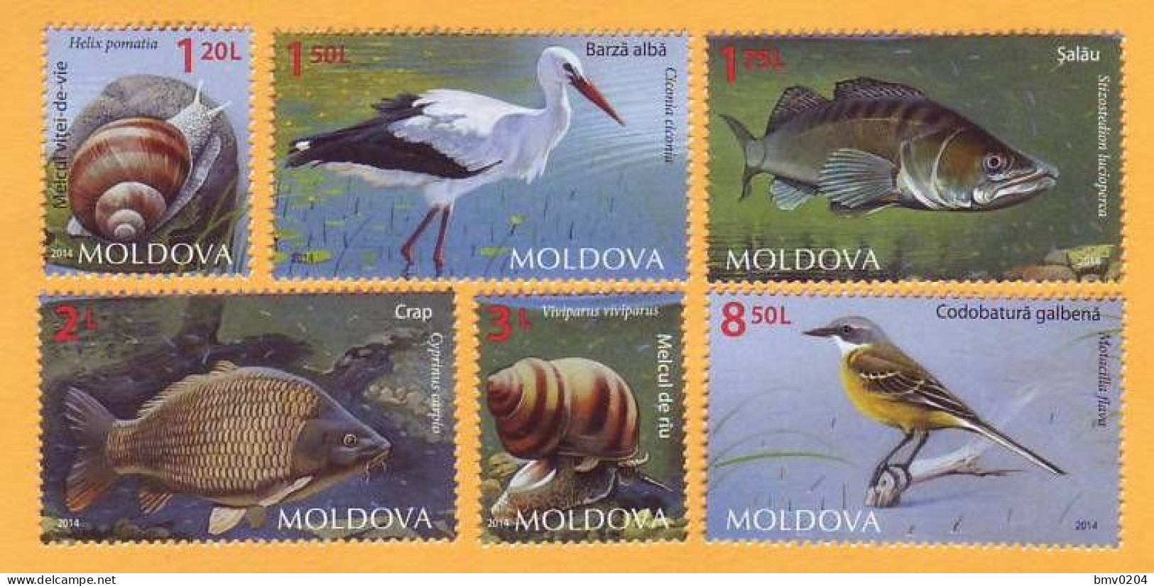2014 Moldova Moldavie Moldau  Animals. Fauna. Stork. Wagtail. Carp. Perch. Snail  6v Mint - Moldavie