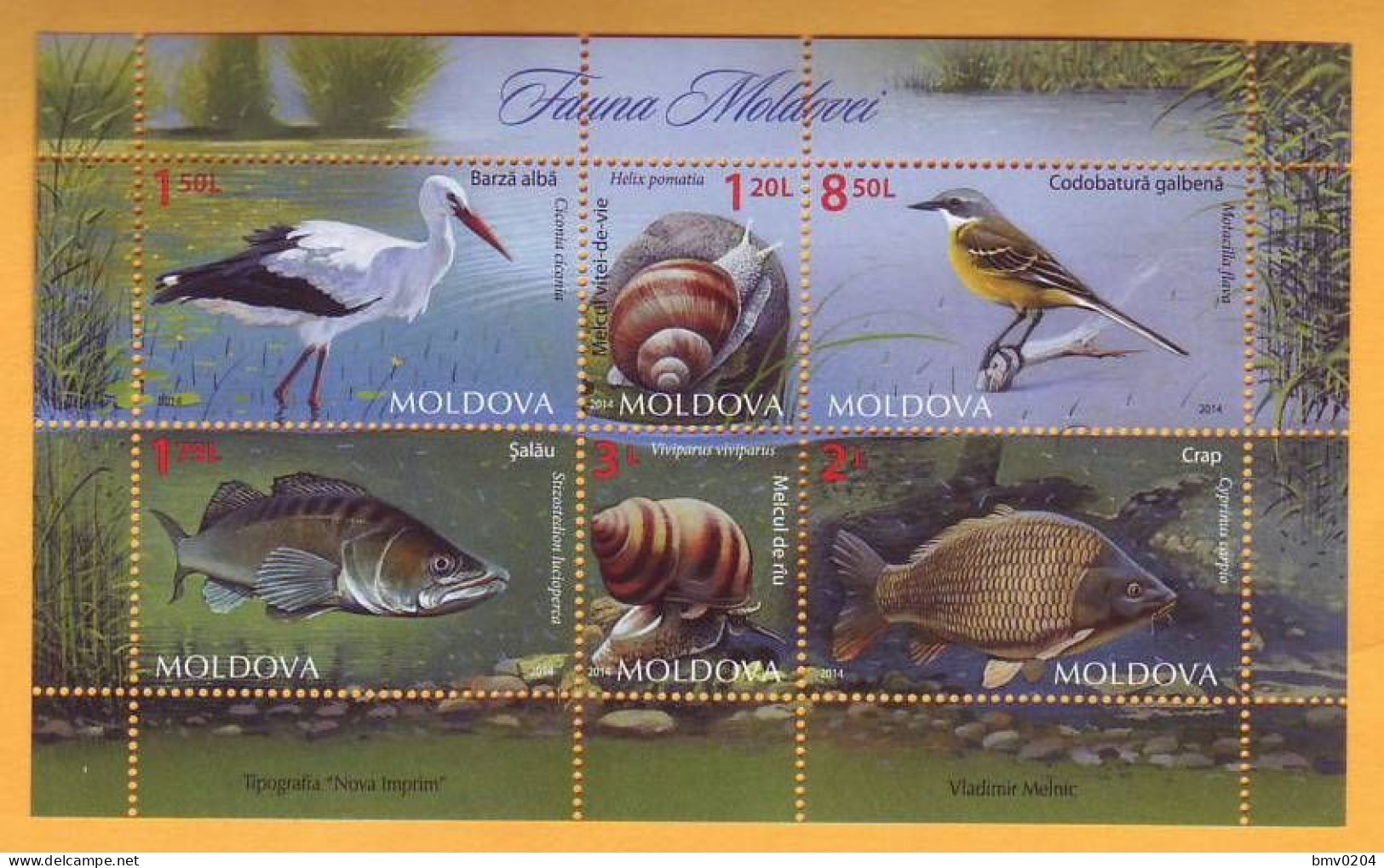 2014 Moldova Moldavie Moldau  Animals. Fauna. Stork. Wagtail. Carp. Perch. Snail  6v Mint - Moldavië