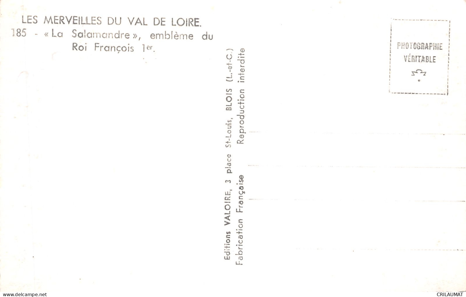 41-BLOIS LE CHATEAU-N°LP5134-C/0391 - Blois