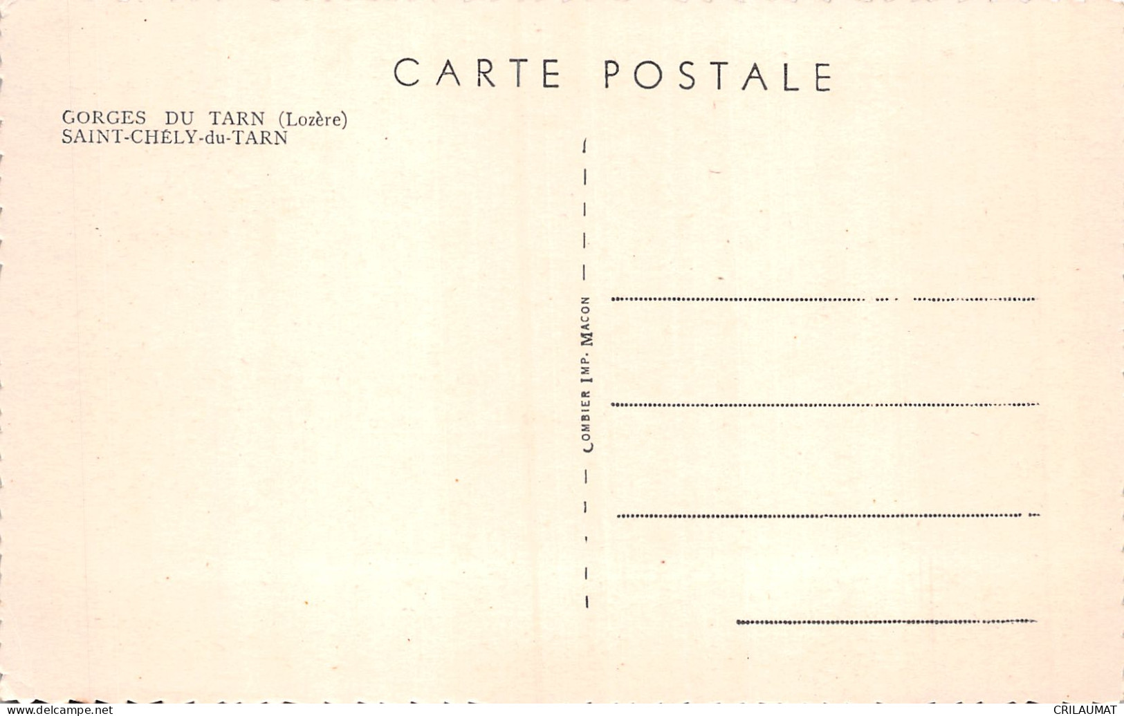 48-SAINT CHELY DU TARN-N°LP5134-C/0287 - Other & Unclassified