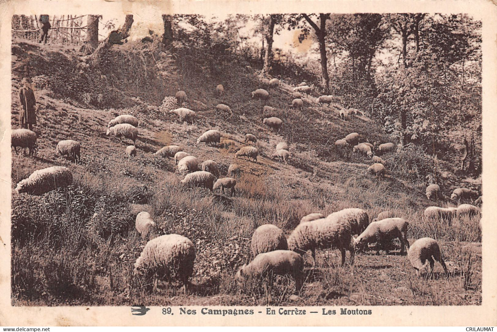 19-CORREZE LES MOUTONS-N°LP5134-B/0387 - Autres & Non Classés