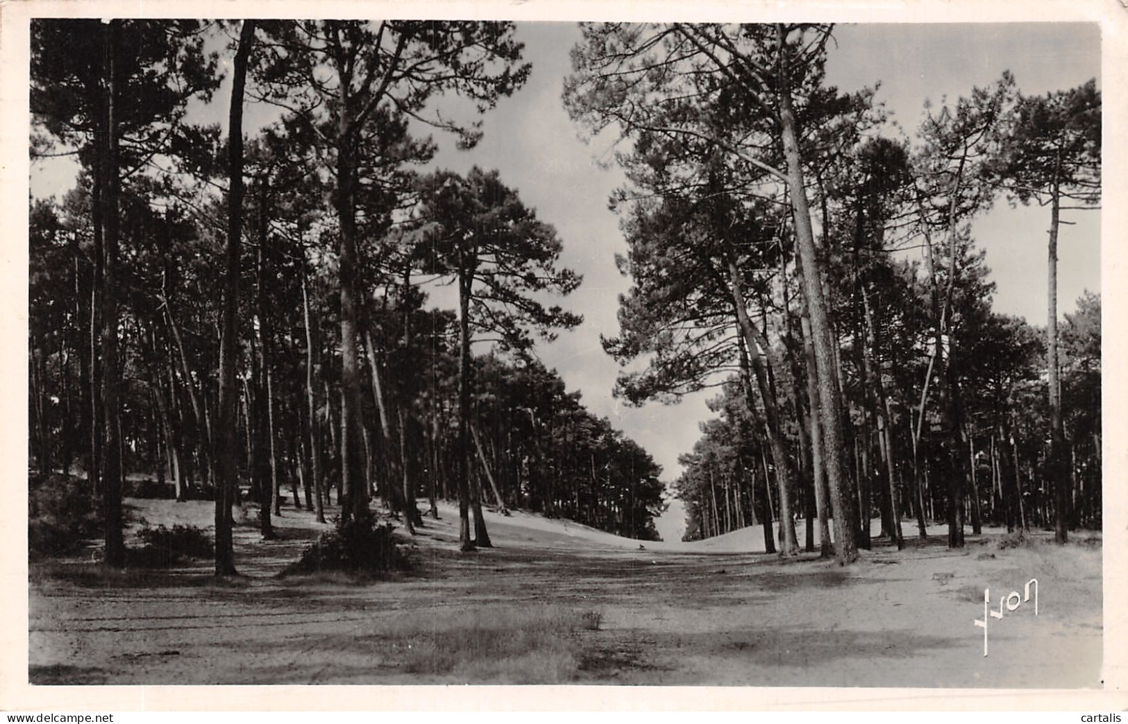 33-ARCACHON-N°4188-G/0151 - Arcachon