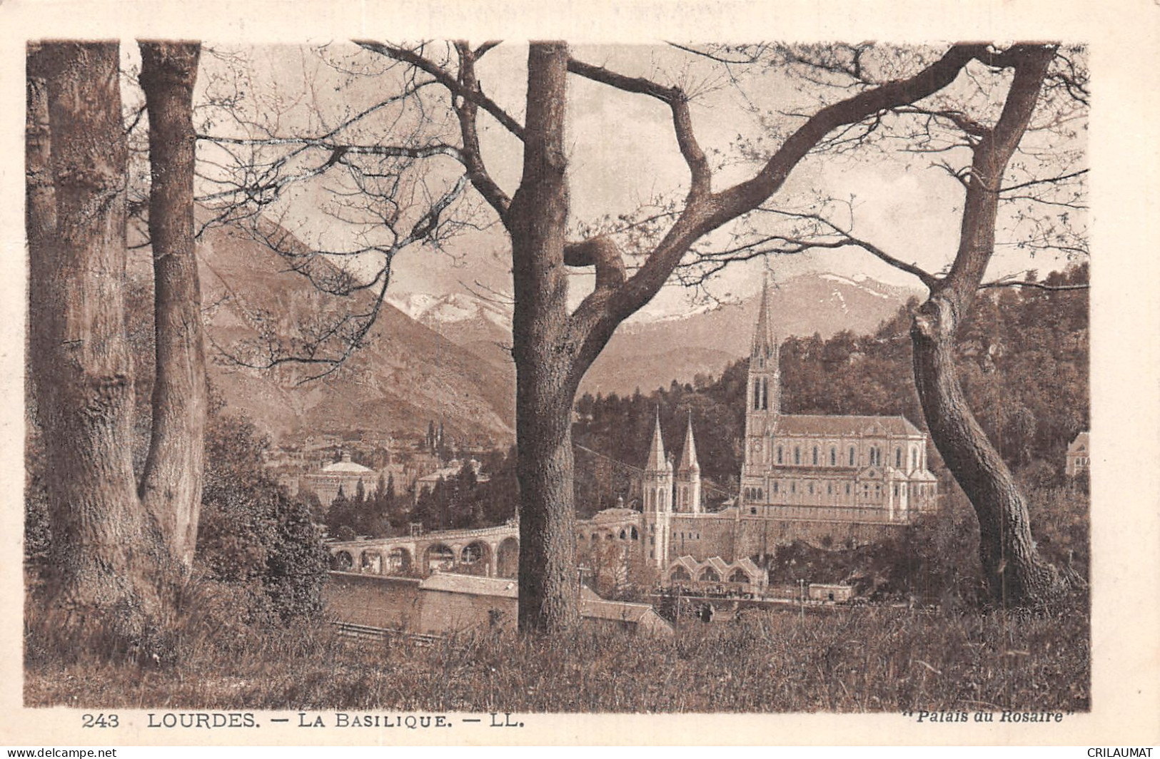 65-LOURDES-N°LP5134-E/0011 - Lourdes