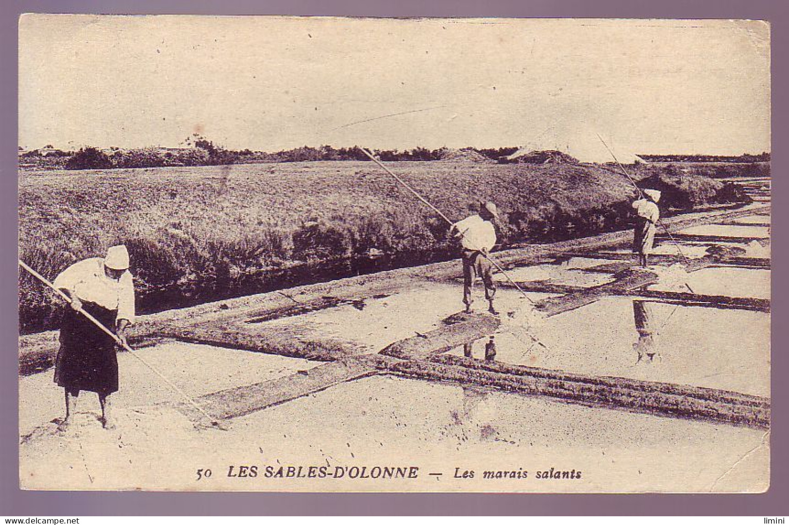 85 - SABLES D'OLONNE - Les MARAIS SALANTS - ANIMÉE - - Sables D'Olonne