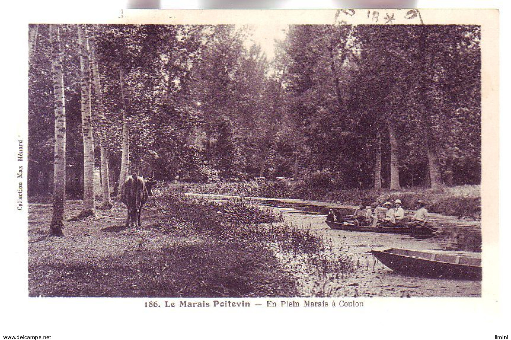 79 - LE MARAIS POITEVIN - Le MARAIS  COULON - ANIMÉE -  - Sonstige & Ohne Zuordnung