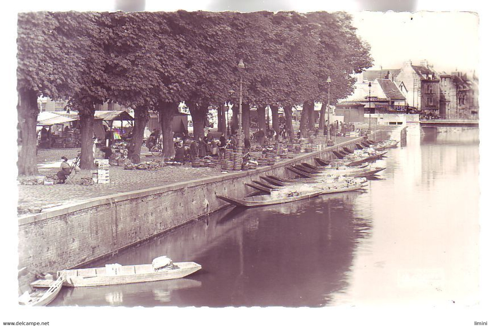 80 - AMIENS - MARCHÉ Sur L'EAU - ANIMÉE - - Amiens