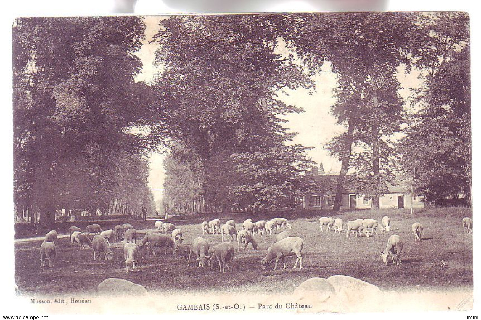 78 - GAMBAIS - PARC DU CHÂTEAU - MOUTON En PTURAGE - - Autres & Non Classés