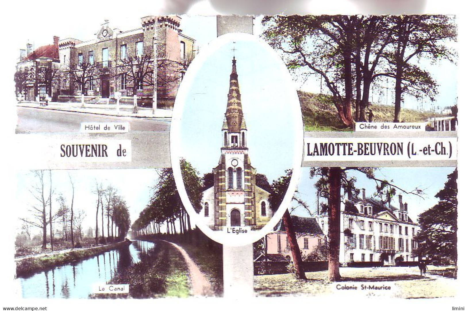41 - LAMOTTE-BEUVRON - MULTIVUES SOUVENIR - - Lamotte Beuvron