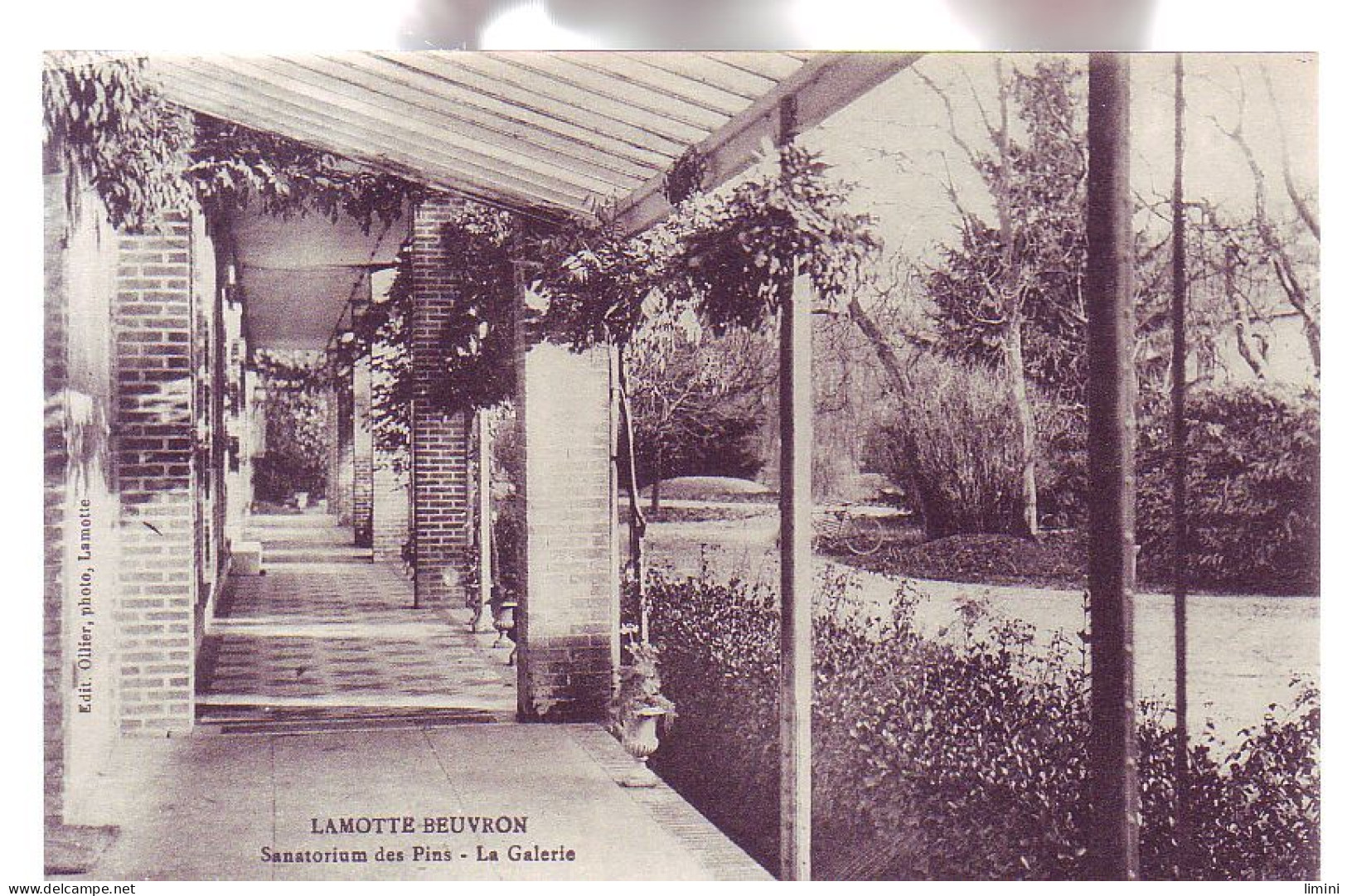 41 - LAMOTTE-BEUVRON - SANATORIUM Des PINS - La GALERIE - - Lamotte Beuvron