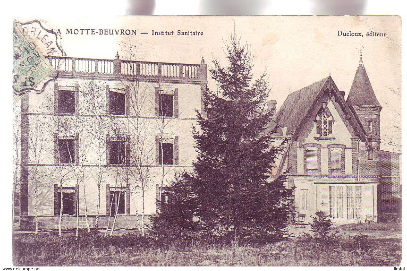 41 - LAMOTTE-BEUVRON - INSTITUT SANITAIRE - - Lamotte Beuvron