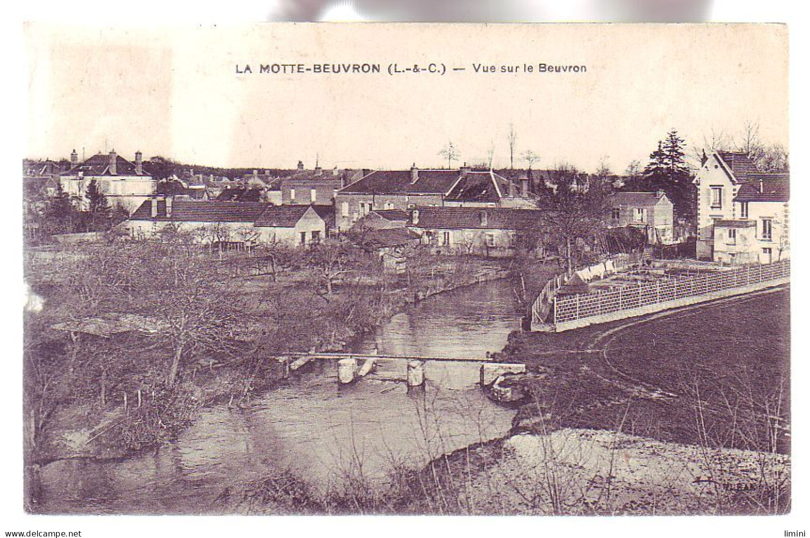 41 - LAMOTTE-BEUVRON - VUE Sur Le BEUVRON - - Lamotte Beuvron