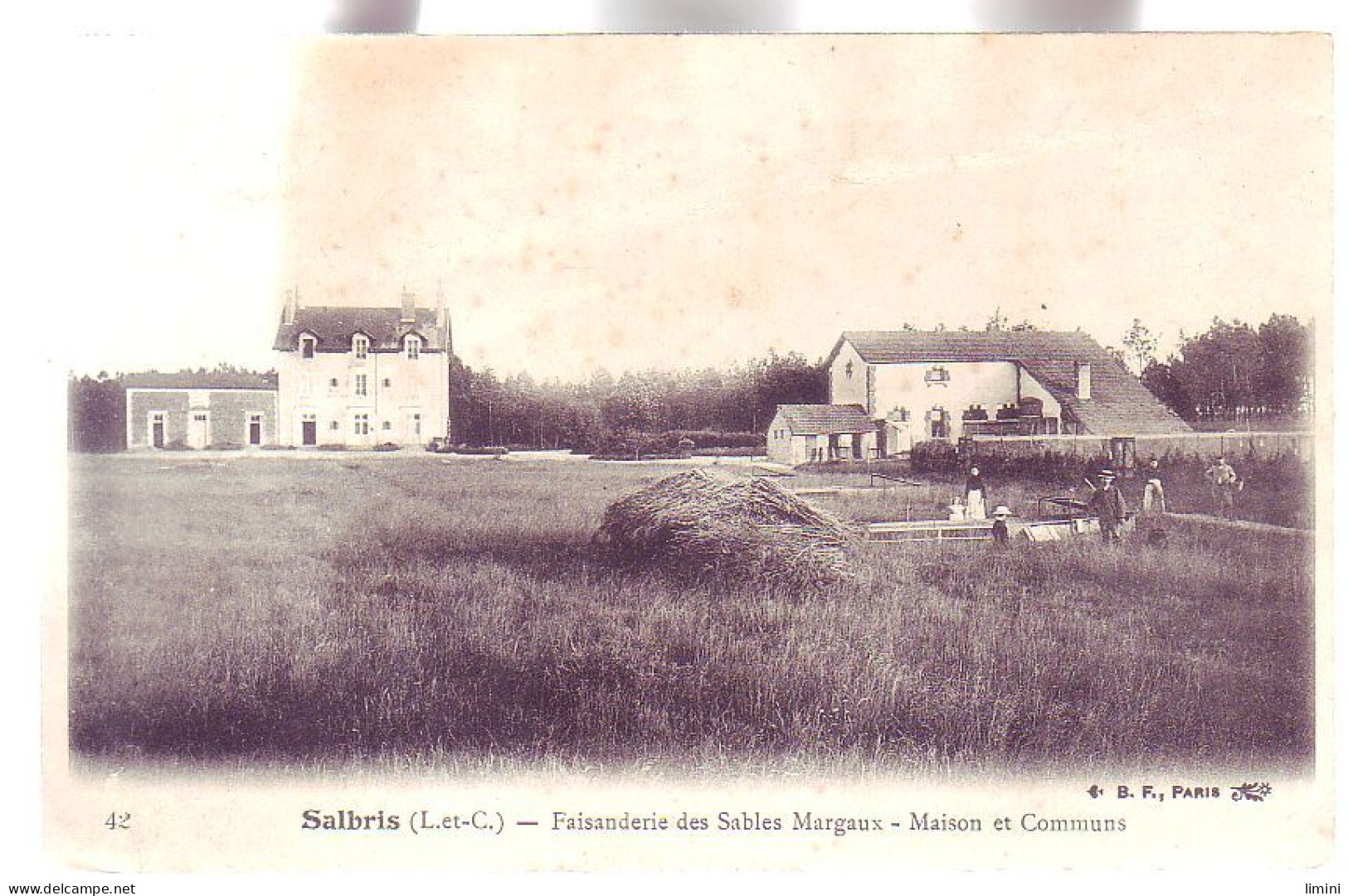 41 - SALBRIS - FAISANDERIE Des SABLES MARGAUX - ANIMÉE - - Salbris