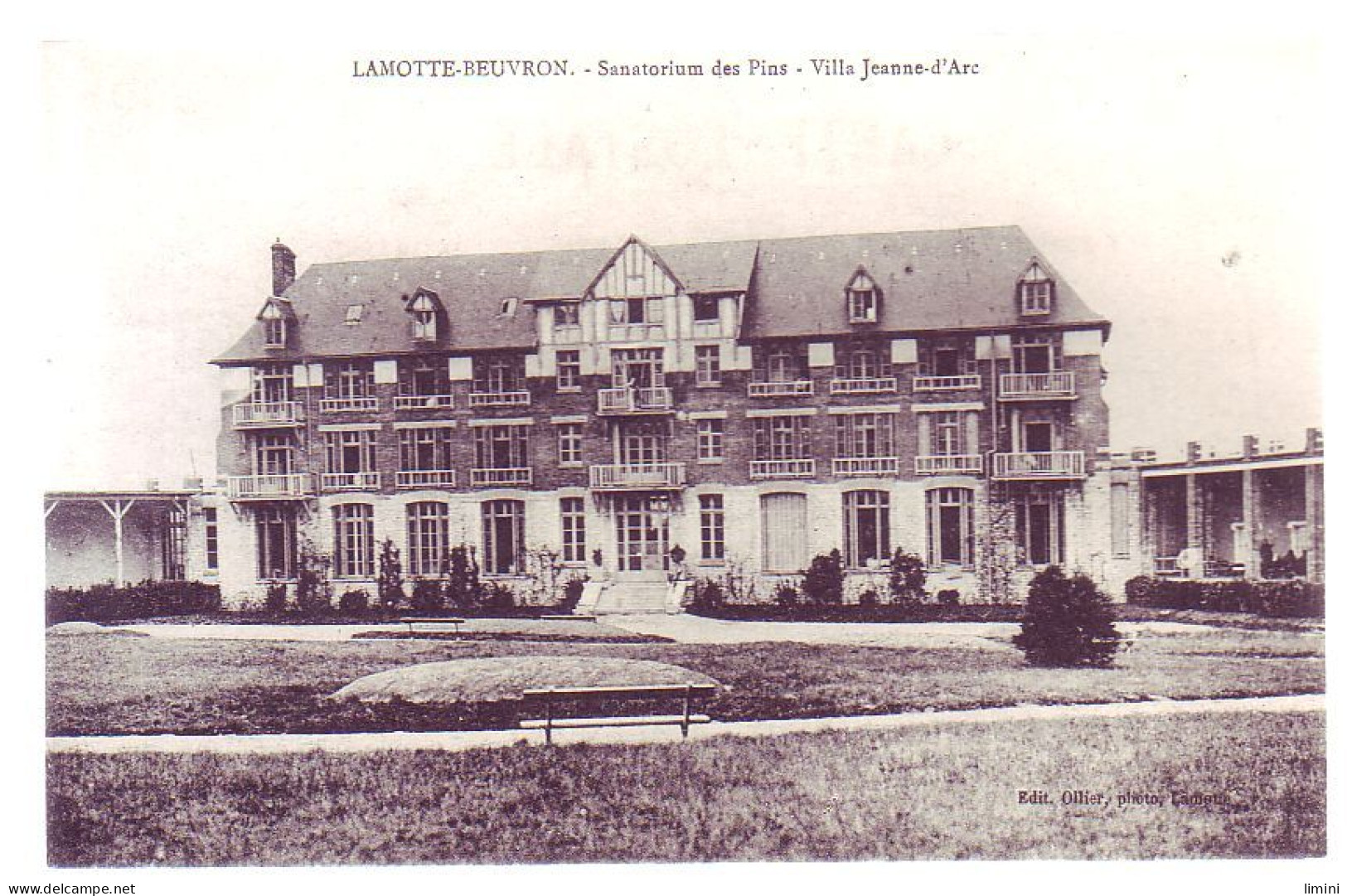 41 - LAMOTTE-BEUVRON - VILLA JEANNE D'ARC - SANATORIUM Des PINS - - Lamotte Beuvron