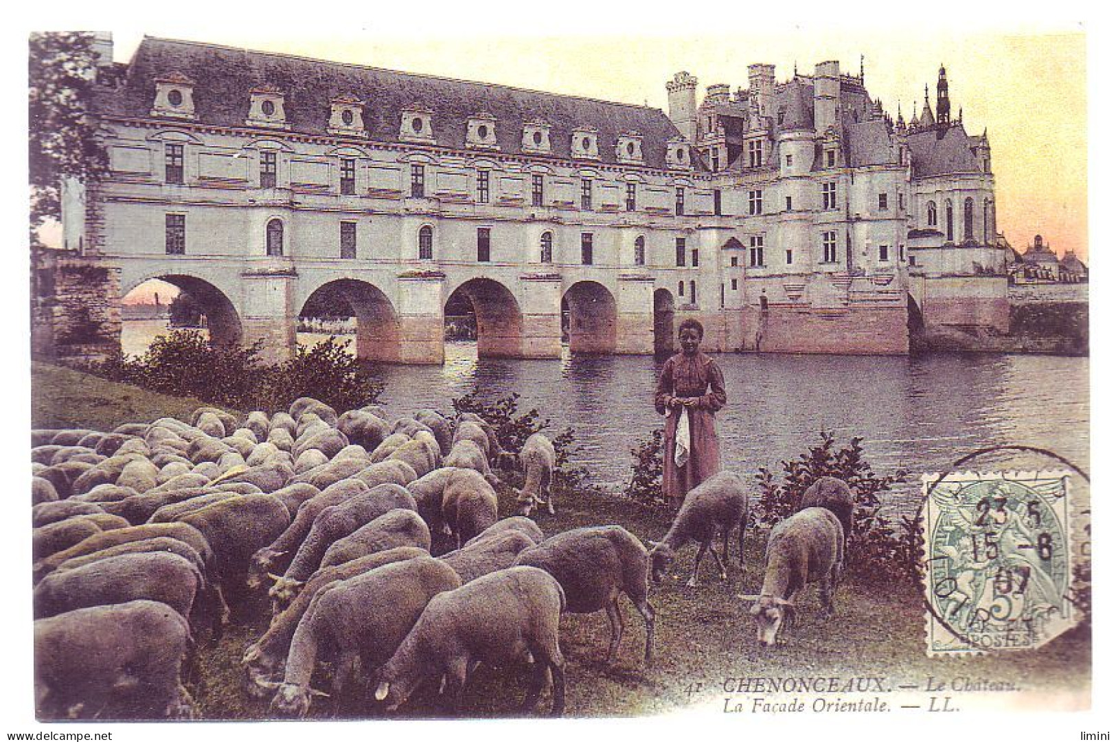 37 - CHENONCEAUX - Le CHÂTEAU - MOUTON En PTURAGE - COLORISÉE - ANIMÉE - - Chenonceaux